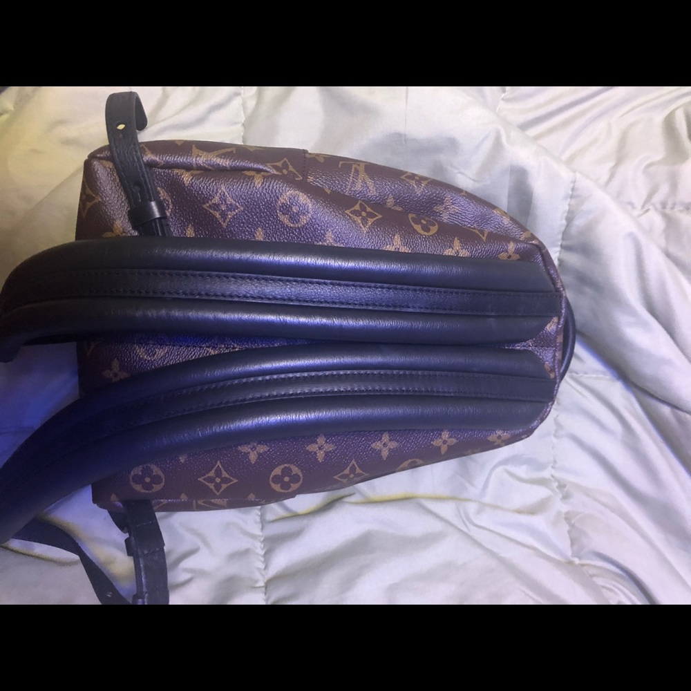 Luis Vuitton Backpack - Picture 5 of 6